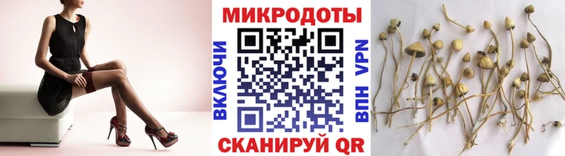 OMG ТОР  Дмитриев  Галлюциногенные грибы ЛСД  дарнет шоп 